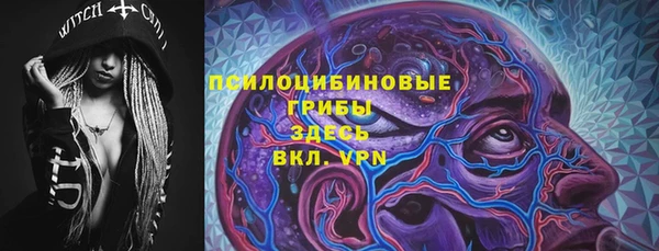 индика Абинск