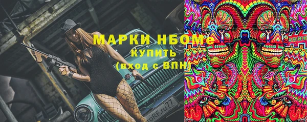 индика Абинск